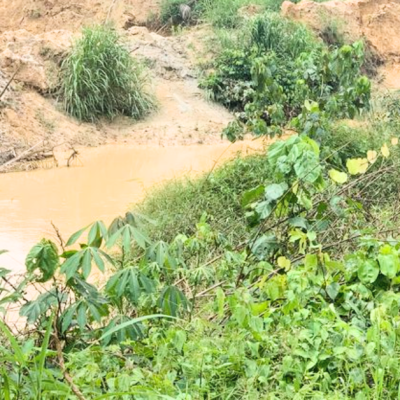 An image of a water body in Wassa East, Ghana, visibly affected by mining activities. The water appears murky and discolored, surrounded by green vegetation and exposed soil, indicating possible contamination. Heavy Metals Water Wassa East.