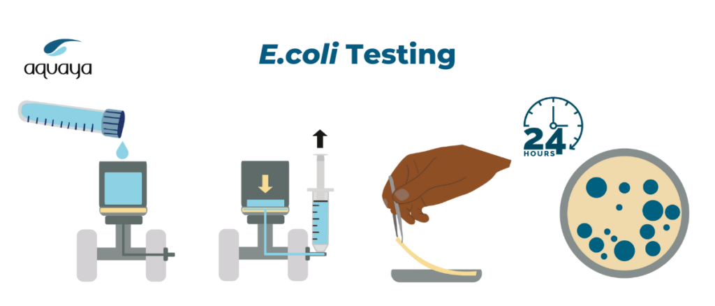 Water Quality Testing Illustration by Vanessa Guenther, Aquaya.