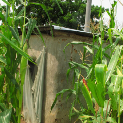 latrine structure in a cornfield in Ghana