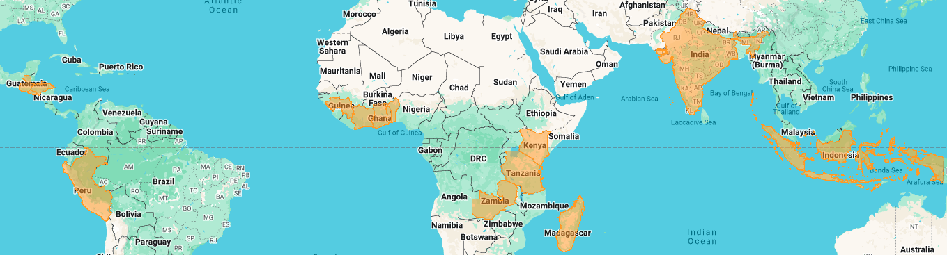 Rural Evidence and Learning research countries: Peru, Honduras, Ghana, Benin, Cote d’Ivoire, Guinea, Togo, Indonesia, Kenya, Uganda, Tanzania, Zambia, India, Madagascar