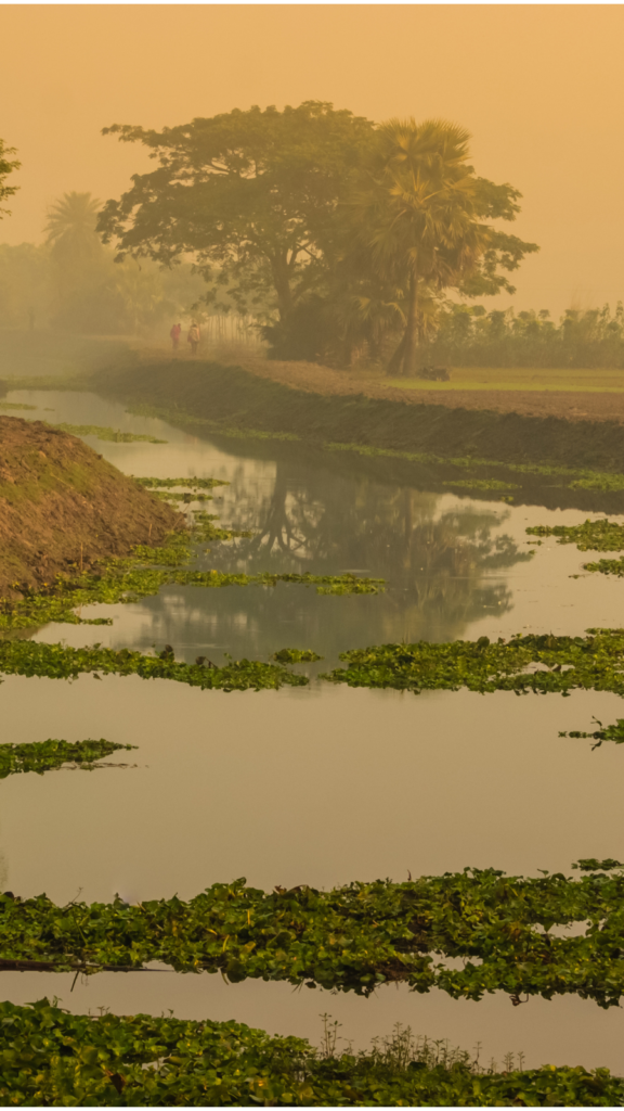 River in Bangladesh