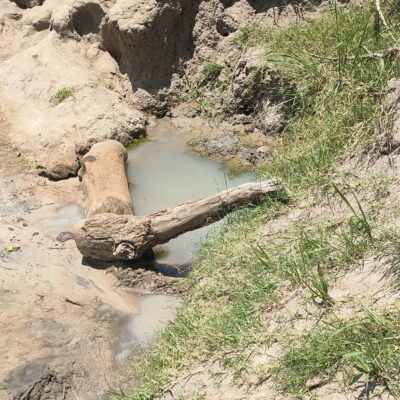 Stagnant-water-in-Lira-District-Uganda-